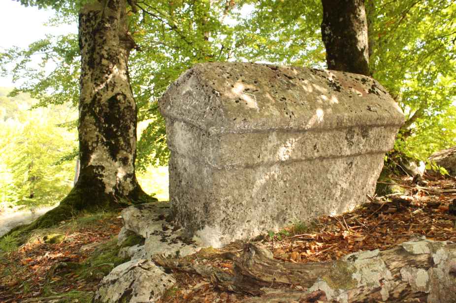 Nekropola sa stećcima na lokalitetu Ograda (Vlah), historijsko područje